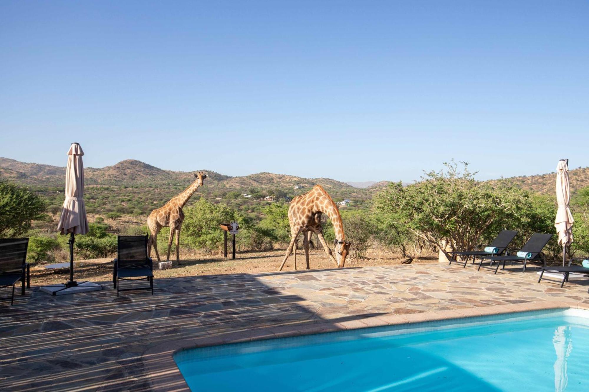 Windhoek Game Camp Lafrenz Township Eksteriør bilde