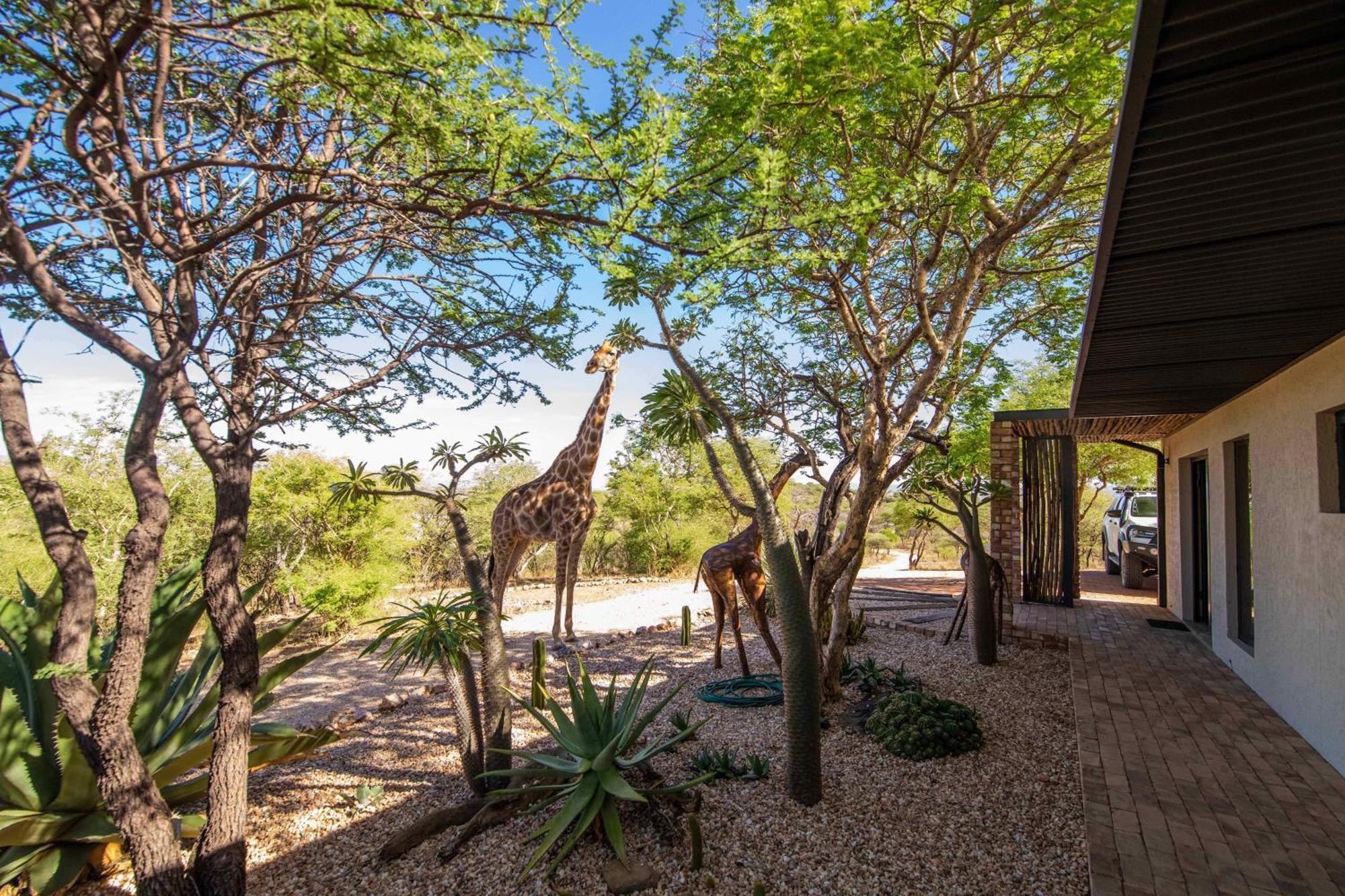 Windhoek Game Camp Lafrenz Township Eksteriør bilde