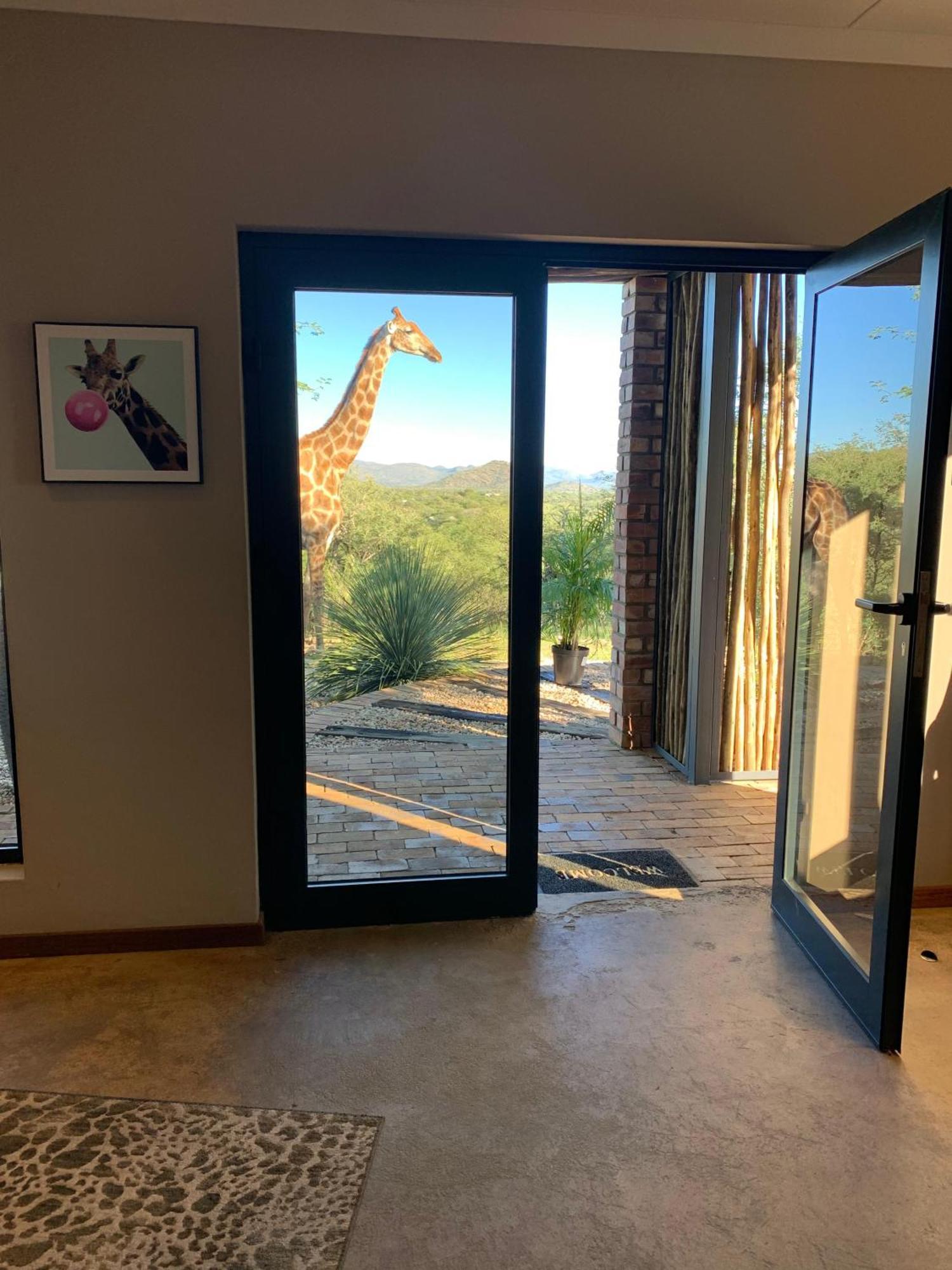 Windhoek Game Camp Lafrenz Township Eksteriør bilde