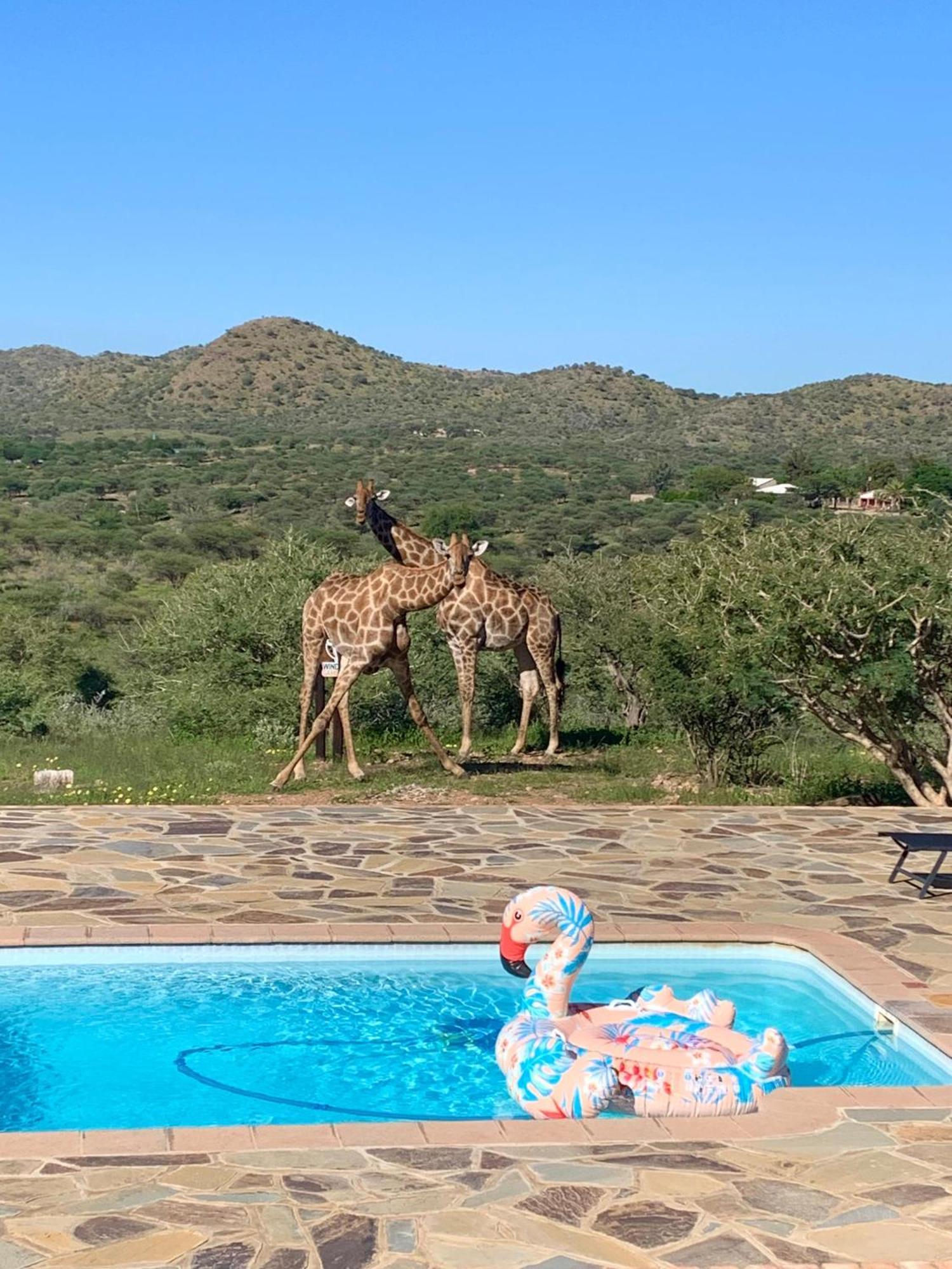 Windhoek Game Camp Lafrenz Township Eksteriør bilde