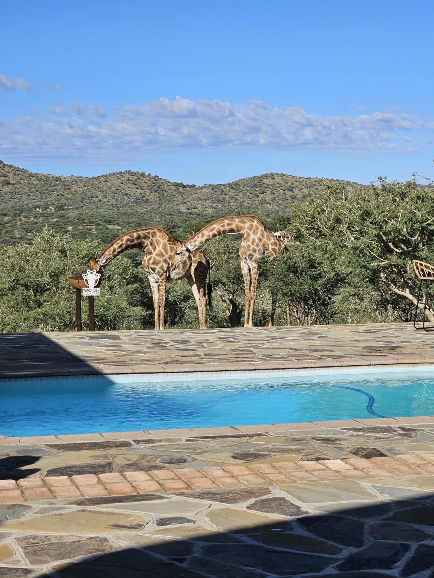 Windhoek Game Camp Lafrenz Township Eksteriør bilde
