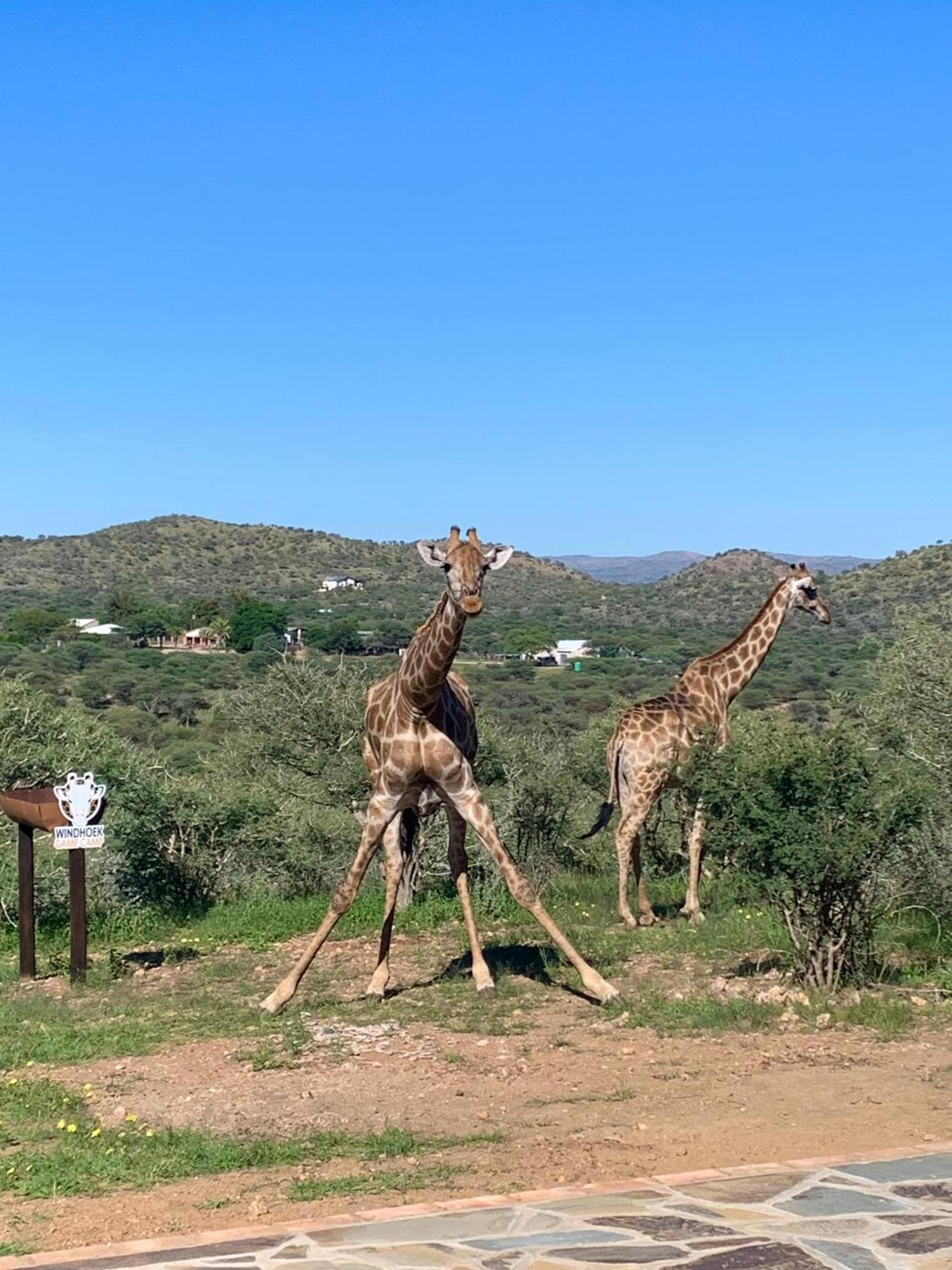 Windhoek Game Camp Lafrenz Township Eksteriør bilde